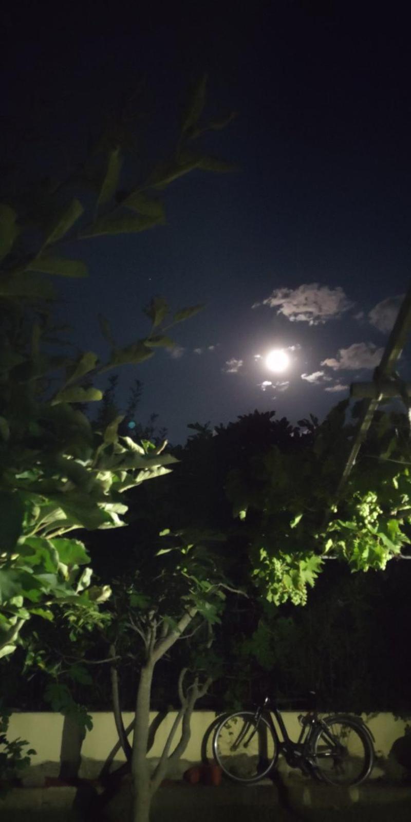 Morska Zvezda Guest House Chernomorets Bagian luar foto